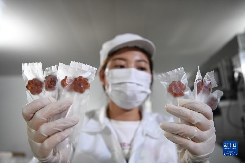 奥门新匍京娱乐场